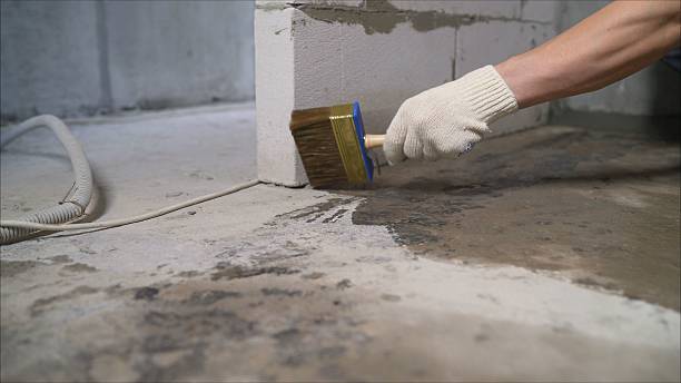 24/7 Emergency Basement Waterproofing experts in Spencerport, NY